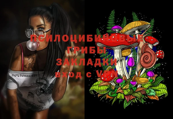 каннабис Алзамай