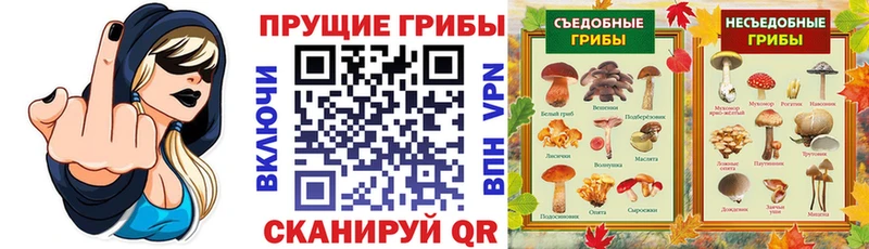 где можно купить   Тетюши  Псилоцибиновые грибы MAGIC MUSHROOMS 